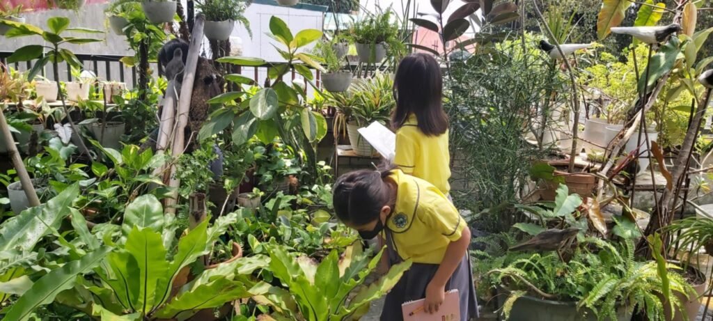 Plants investigation is one of the exciting activities in science.